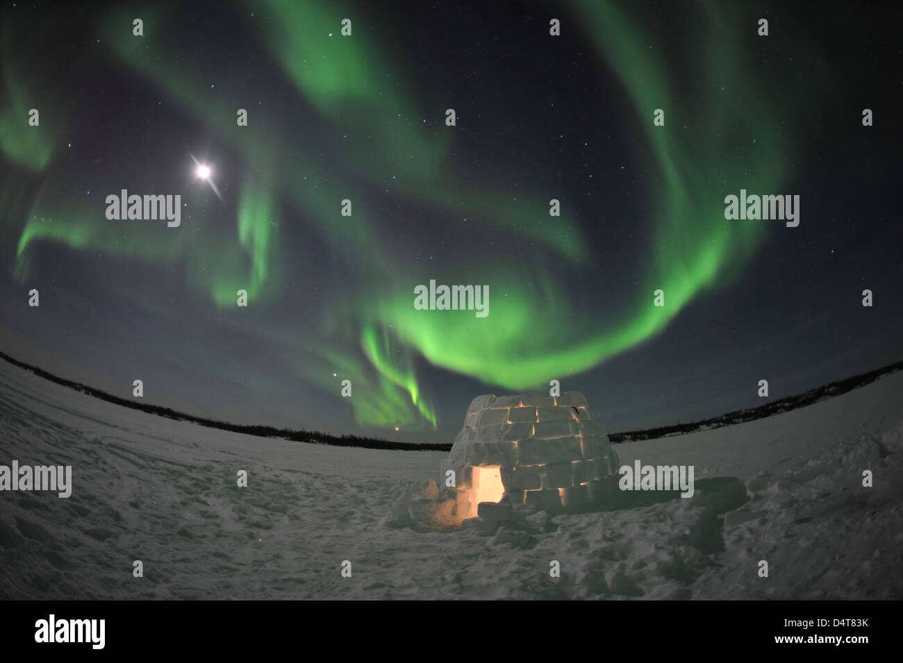 Aurora borealis over an igloo on Walsh Lake, Yellowknife, Northwest