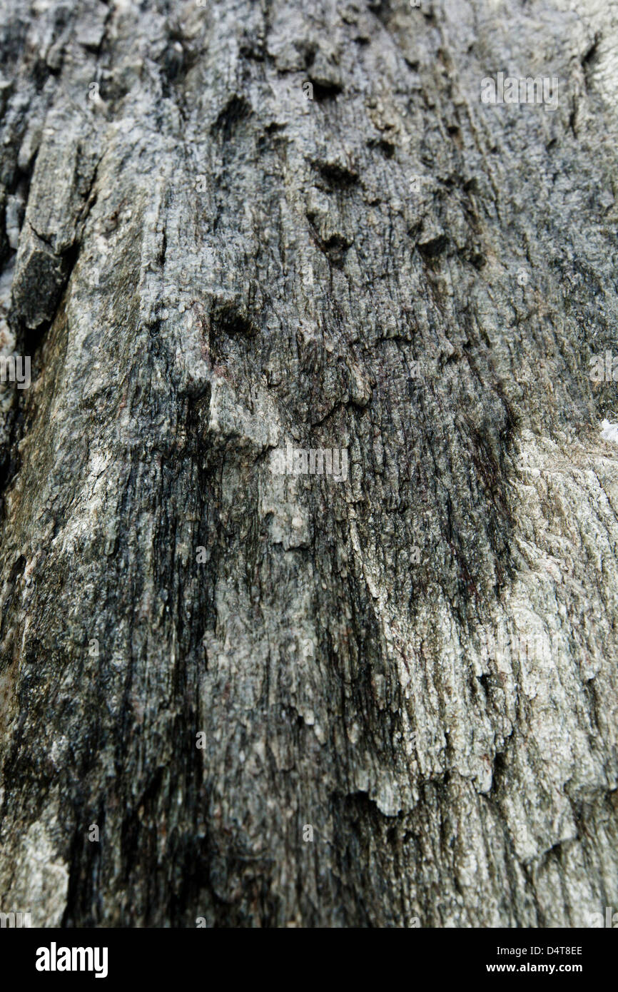 Rock texture of a mountain in Alps. Stock Photo