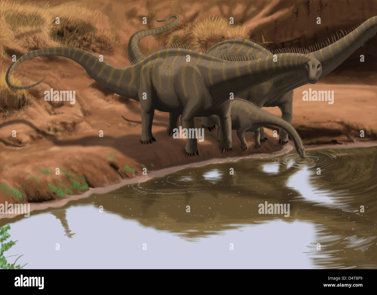 Dinosaurs drinking water hires stock photography and images Alamy
