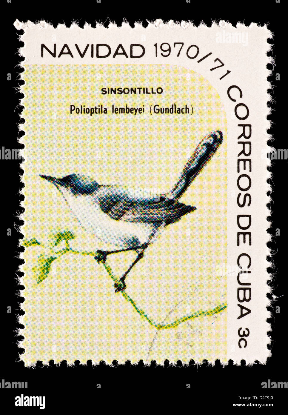 Postage stamp from Cuba depicting a Cuban Gnatcatcher (Polioptila lembeyei) Stock Photo