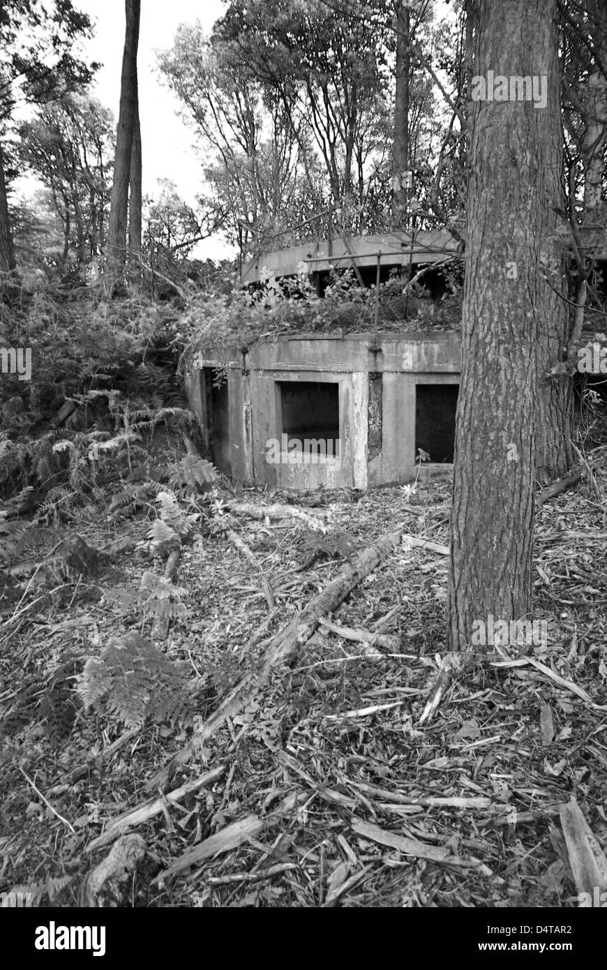 Overgrown world war ii Black and White Stock Photos & Images - Alamy