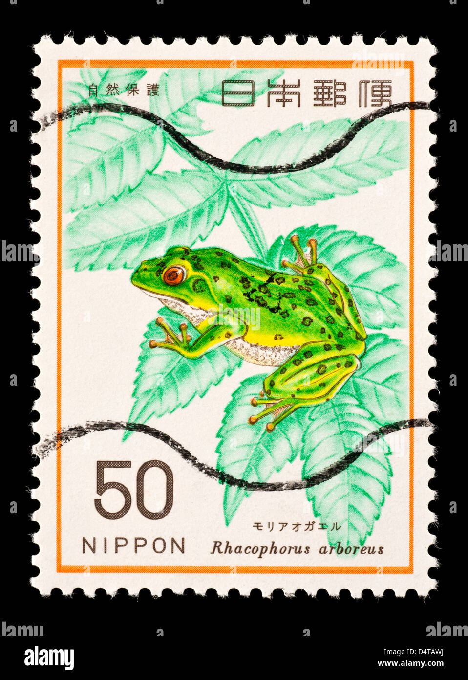 Postage stamp from Japan depicting a  forest green tree frog (Rhacophorus arboreus) Stock Photo
