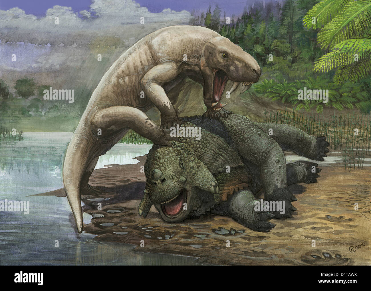 An Inostrancevia alexandri attacks a Scutosaurus karpinski in prehistoric times. Stock Photo