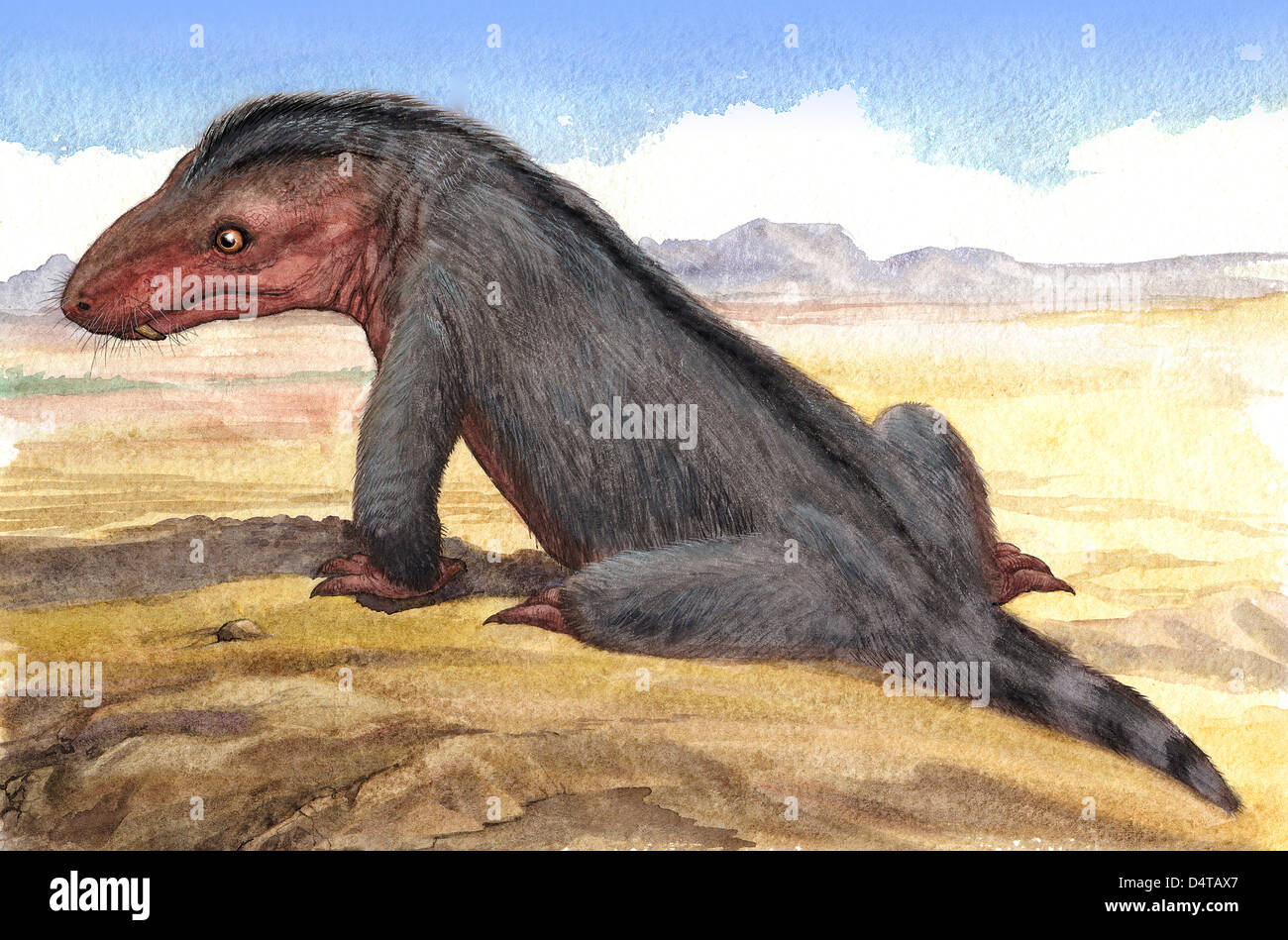 Illustration of a Moschowhaitsia vjuschkovi from prehistoric times. Stock Photo