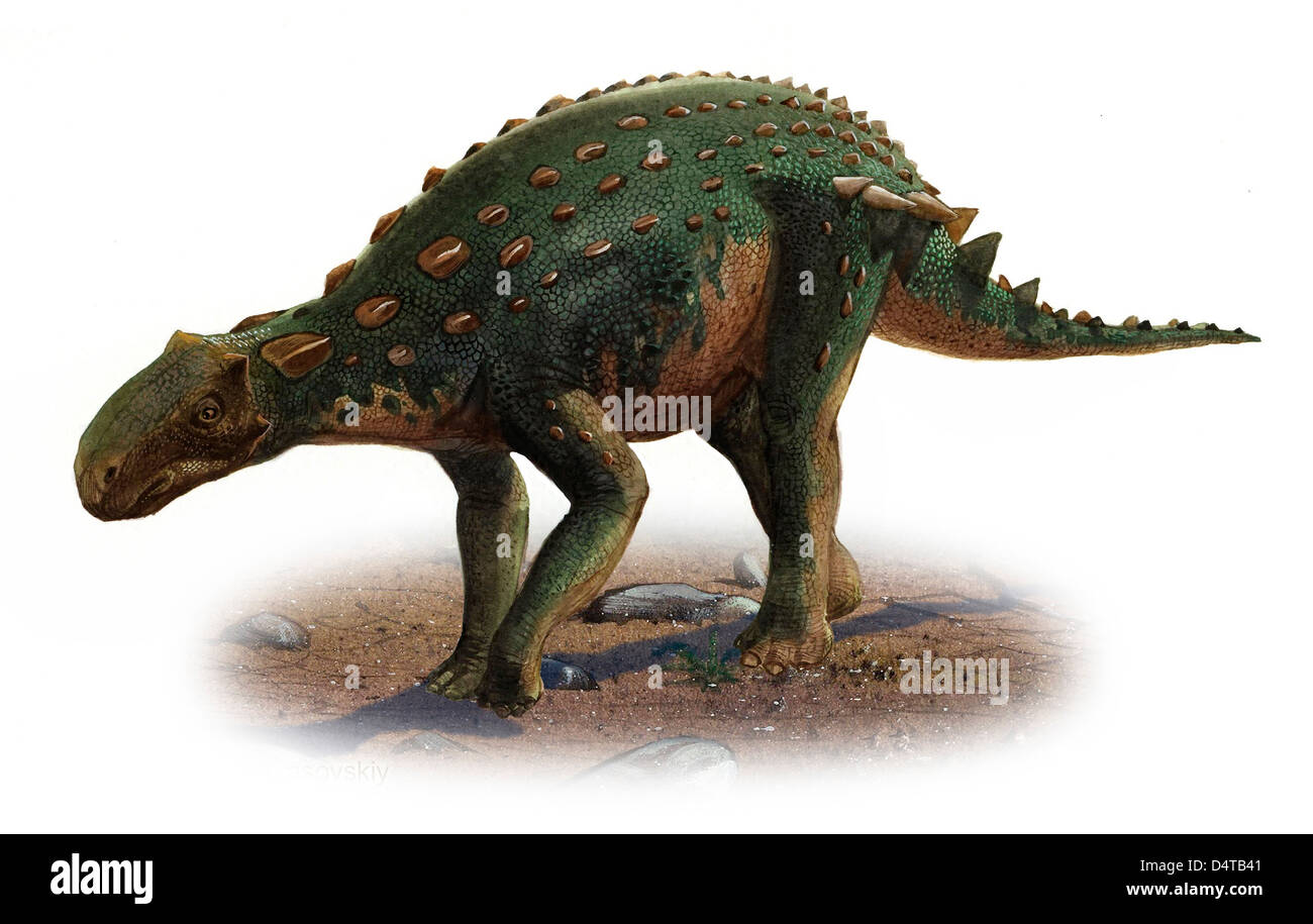 Minmi Paravertebra Dinosaur Stuffed Animal