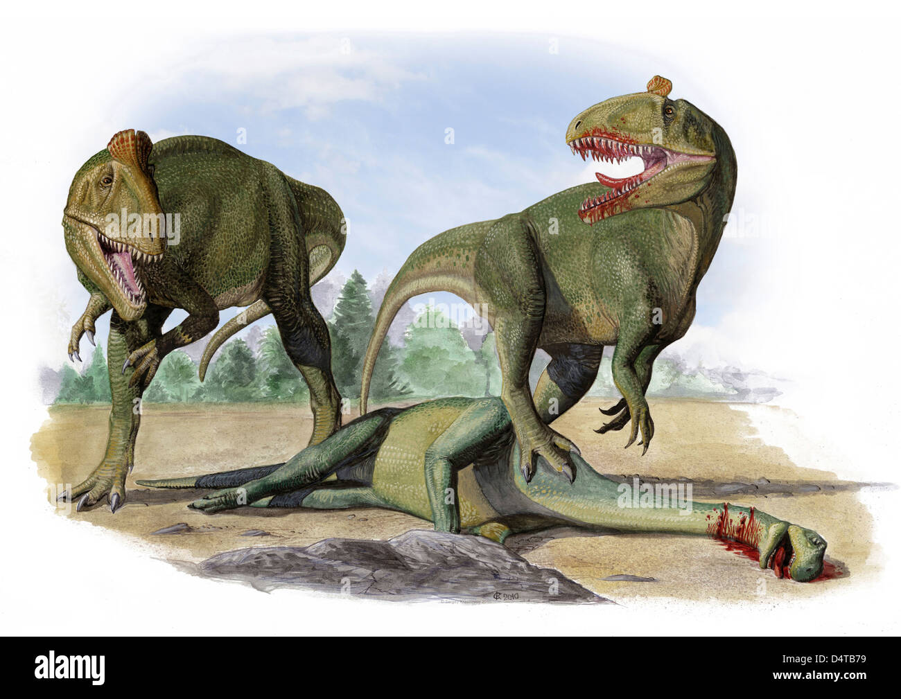 Confrontation between two Cryolophosaurus ellioti dinosaurs over the dead body of an prosauropod dinosaur Stock Photo