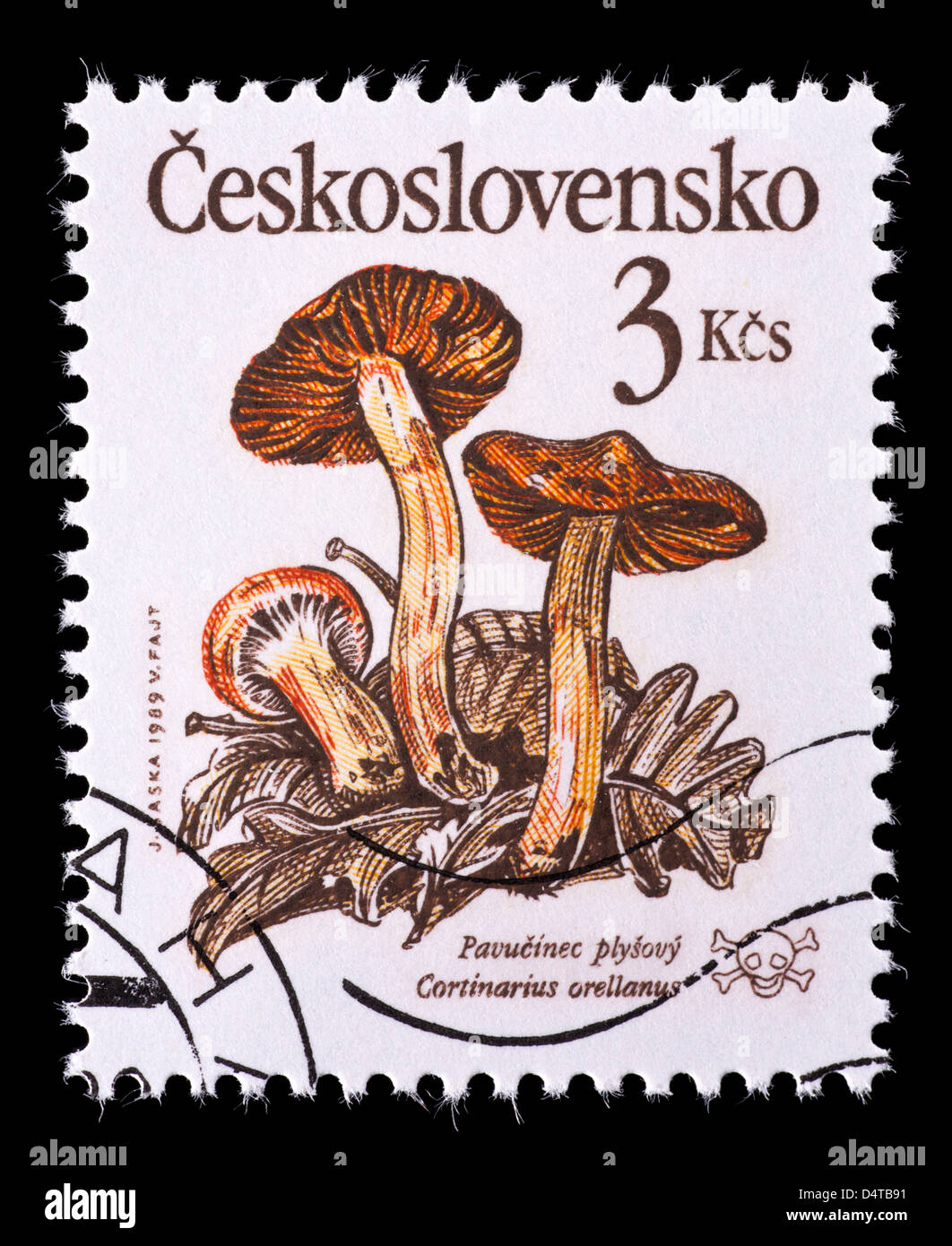 Postage stamp from Czechoslovakia depicting a Fool's webcap mushroom (Cortinarius orellanus) Stock Photo