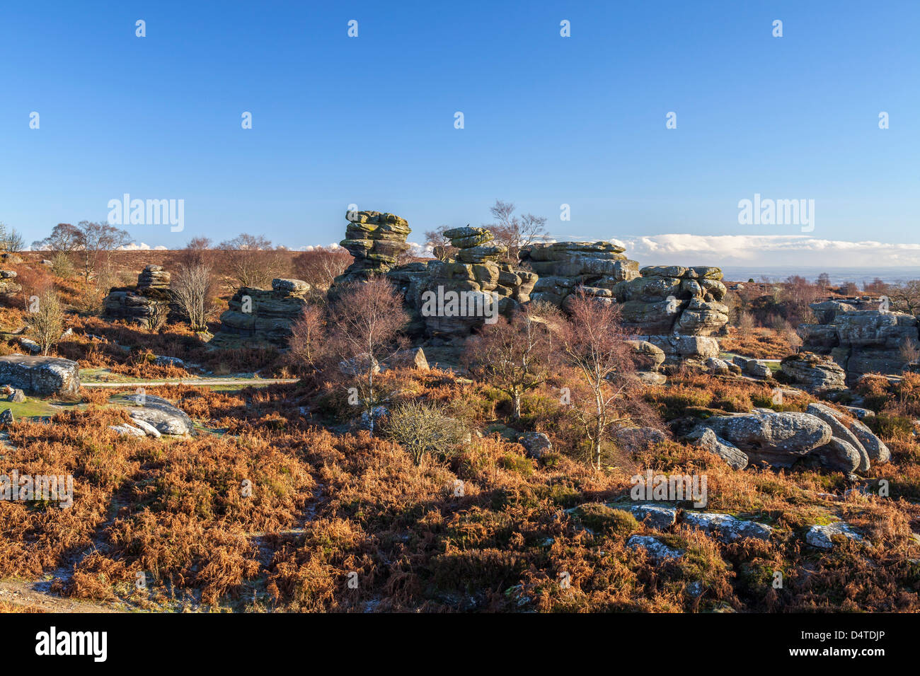 Brimham Rocks near Ripon, North Yorkshire Stock Photo - Alamy