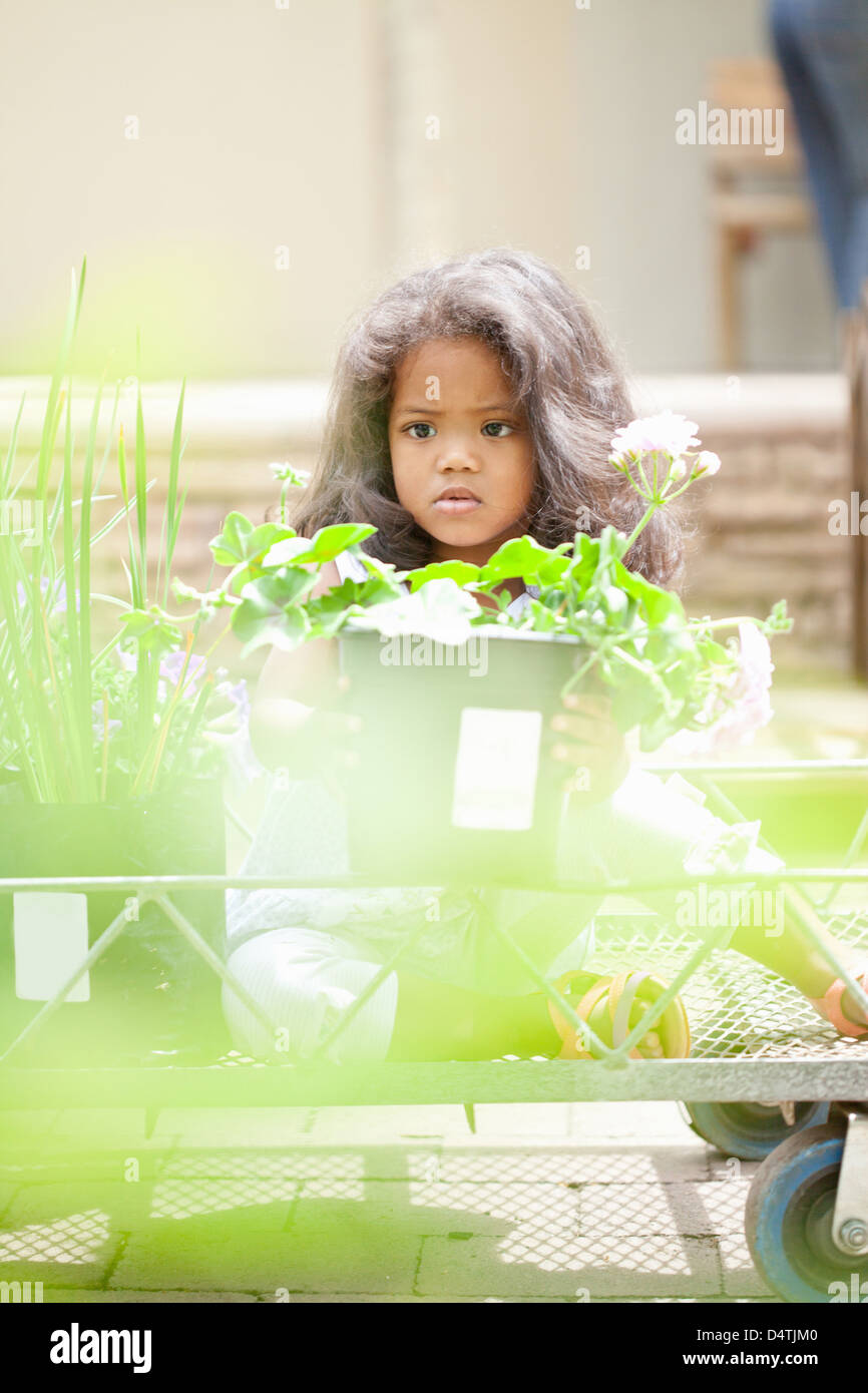 Girl holding potted plant at nursery Stock Photo - Alamy