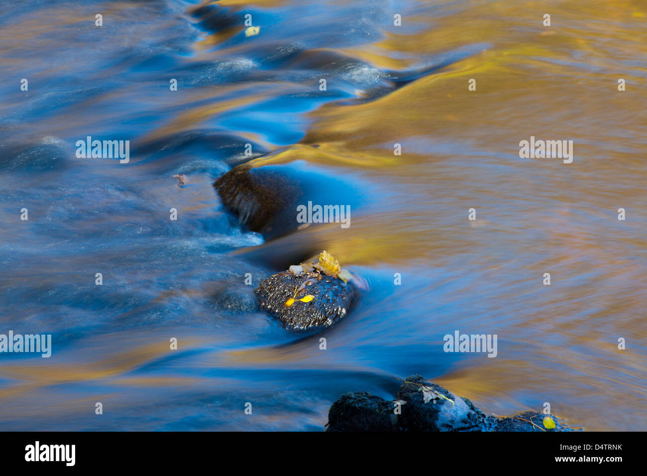 Autumn patterns on the surface of a stream, County Mayo, Ireland. Stock Photo