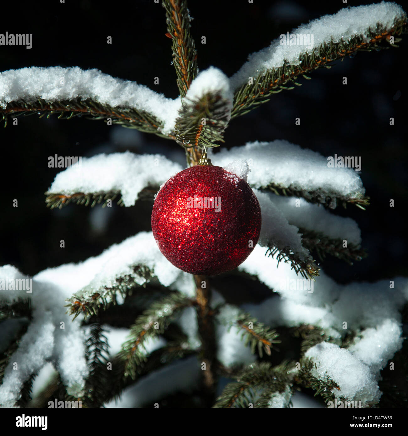 Christmas ornament on snowy tree Stock Photo
