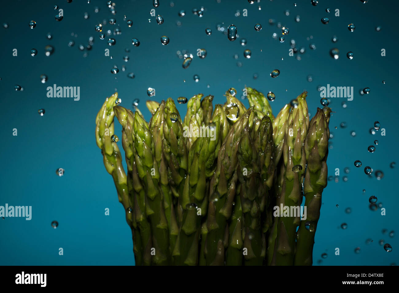 Close up of water splashing on asparagus Stock Photo