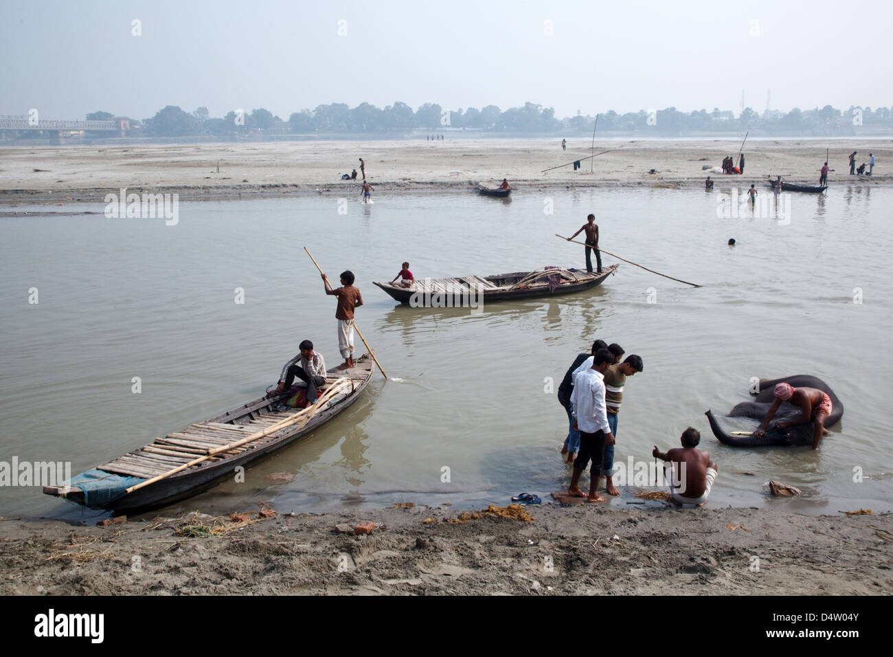 Washing elephants in Gandak river at Sonepur Mela cattle fair in Bihar, India Stock Photo