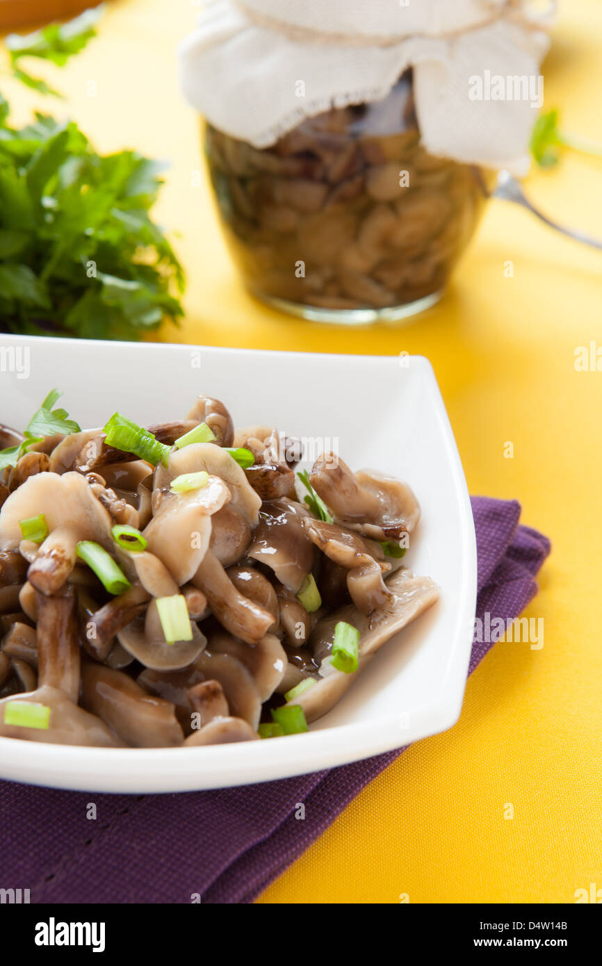 Pickled honey agaric, recipe Pickled honey agaric, recipe