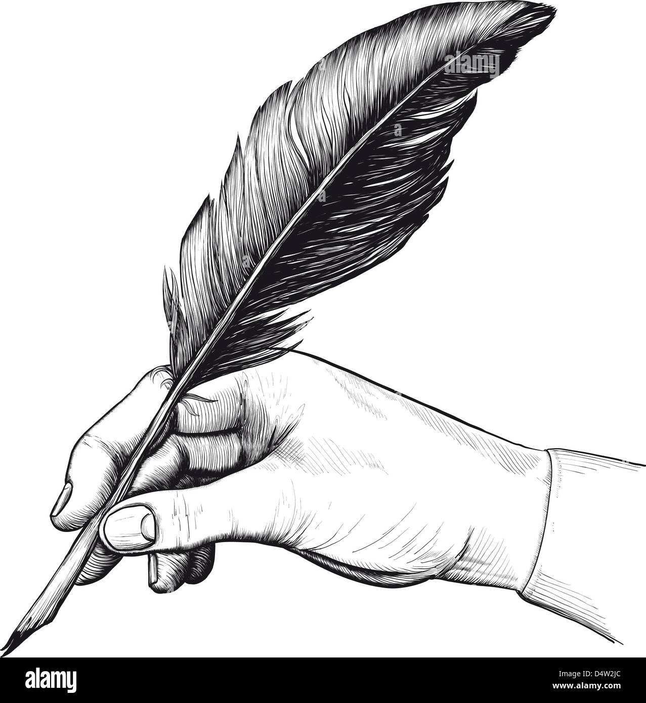 How to Draw a Feather  Steps to Creating an Easy Feather Drawing