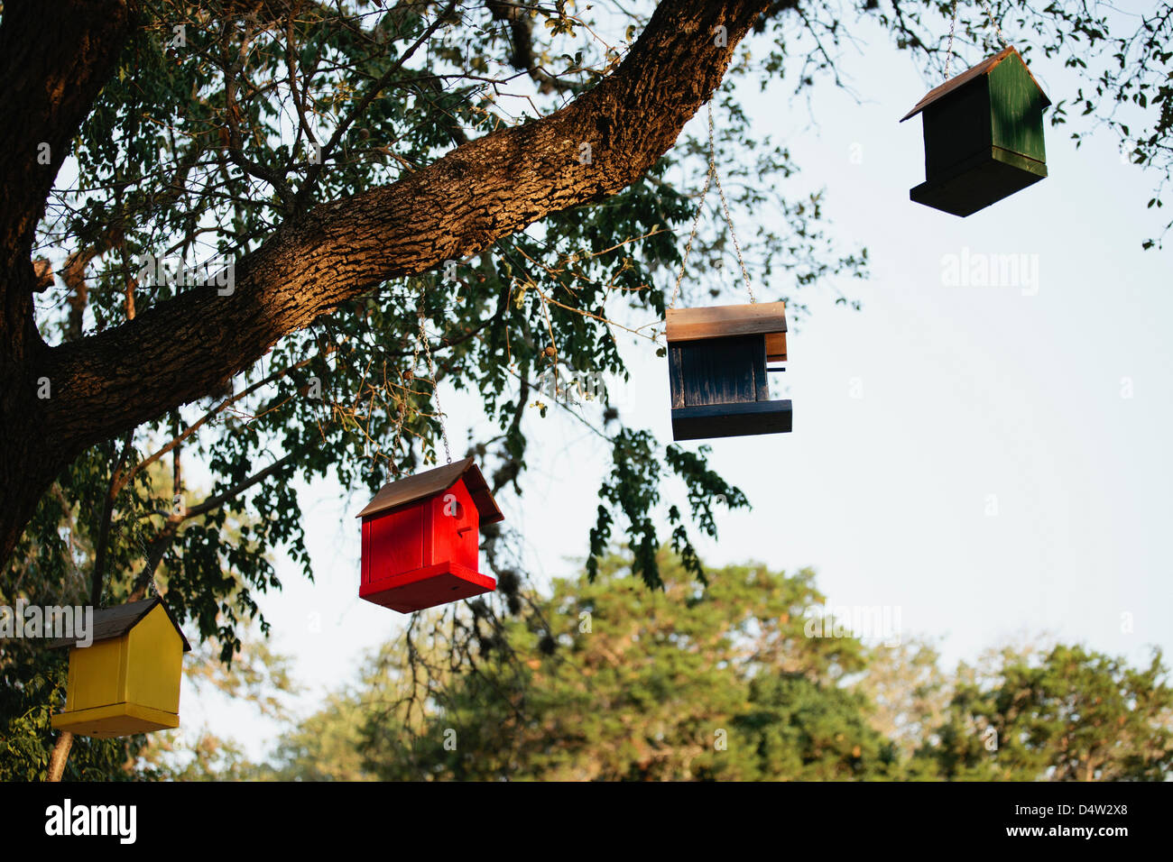 Birdhouses hanging from tree Stock Photo Alamy