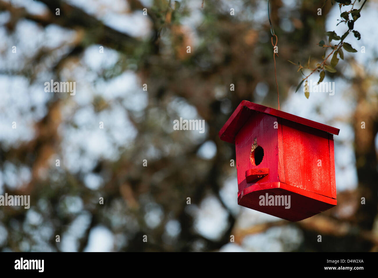 Hanging from tree hires stock photography and images Alamy