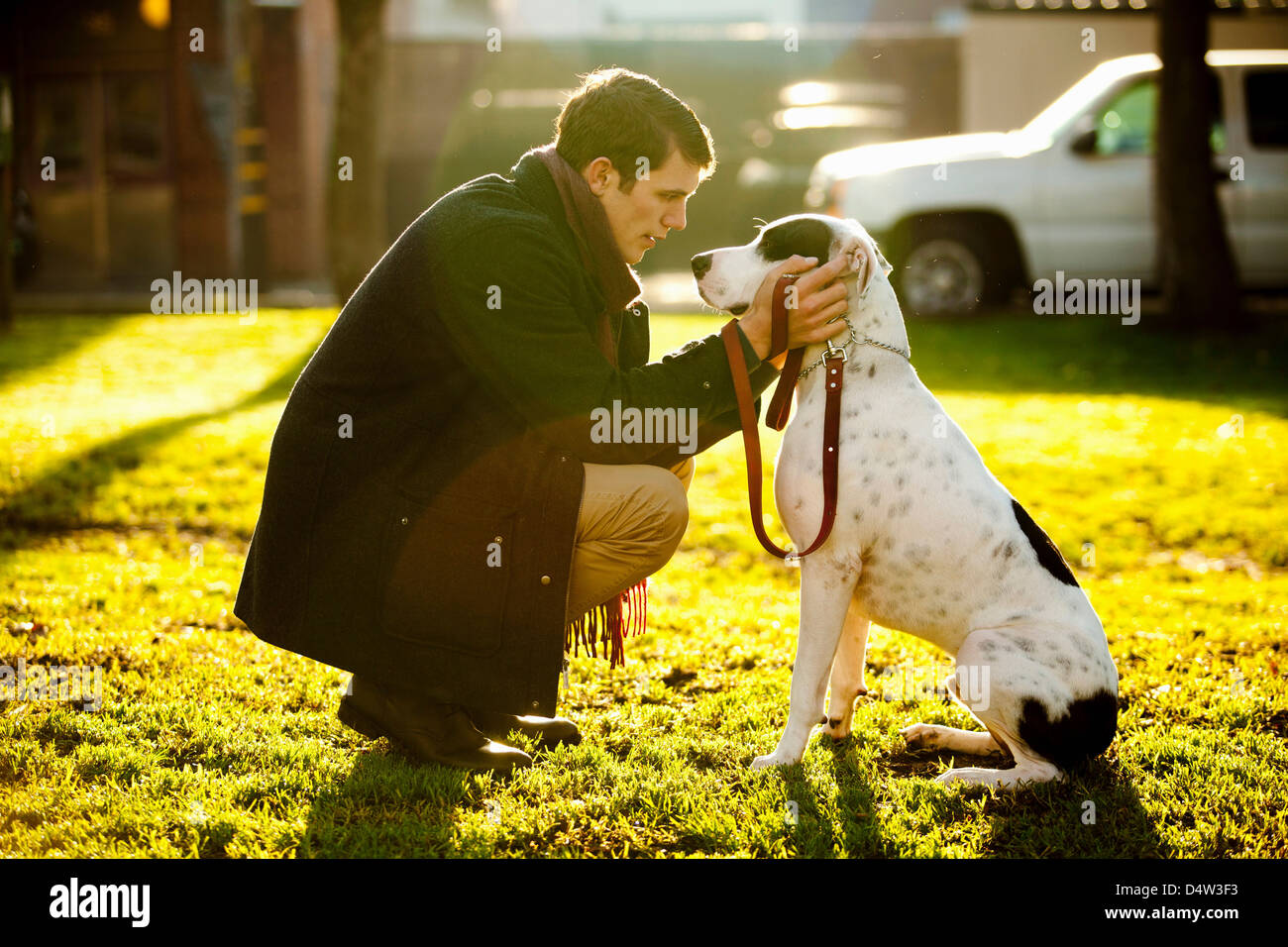 Man petting dog in park Stock Photo