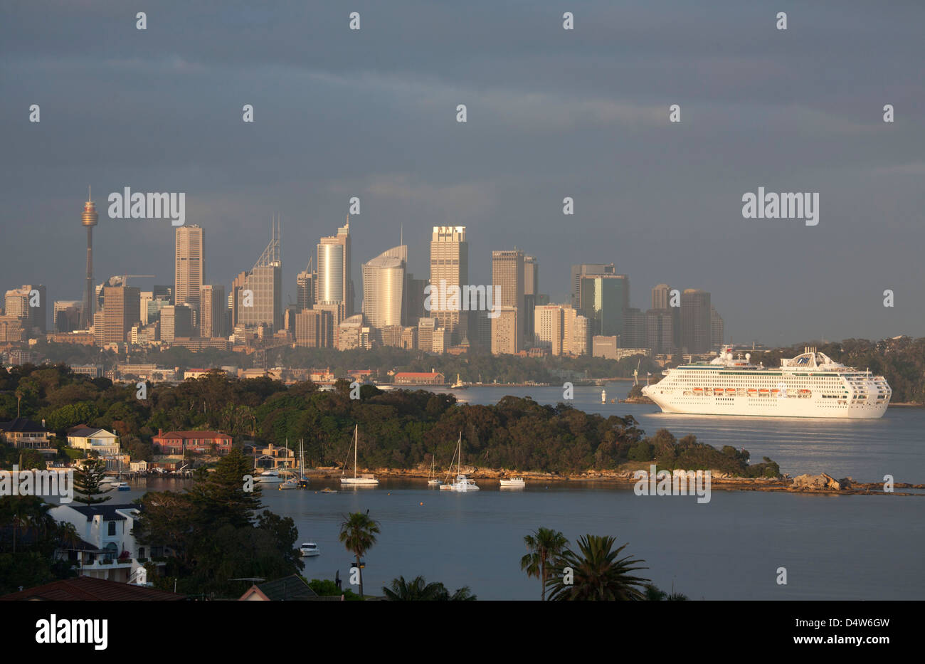 Passenger cruise ship entering Sydney harbour in the early morning
