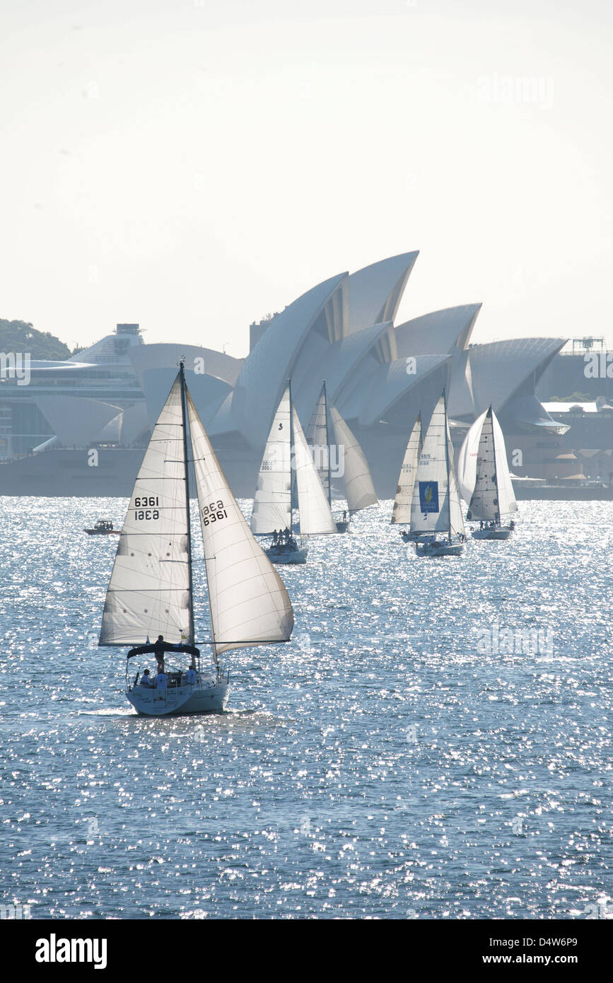 yacht races sydney