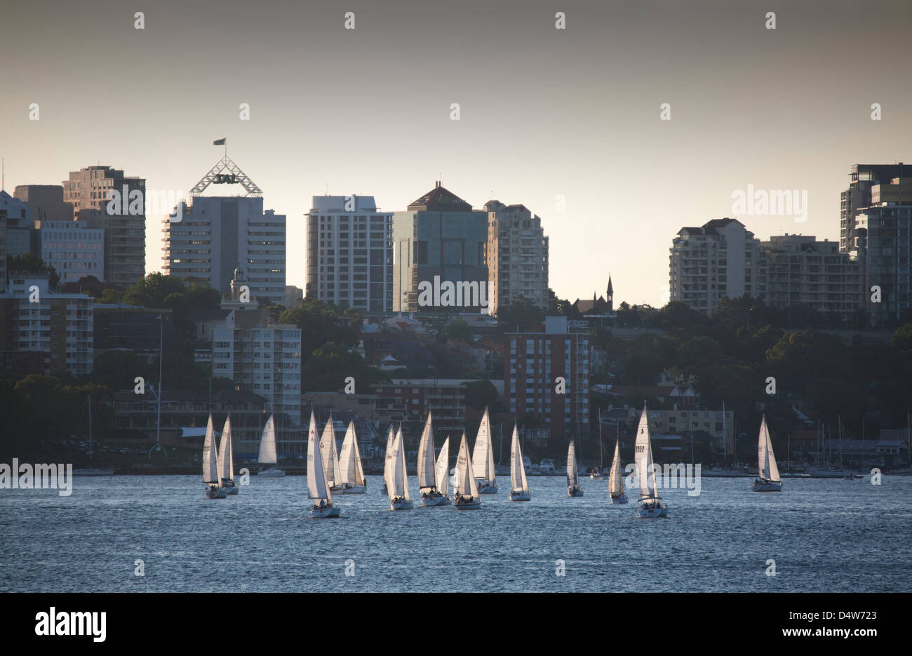 Wednesday afternoon sailing regatta in front of office buildings and apartment buildings Kirribilli Sydney Australia Stock Photo