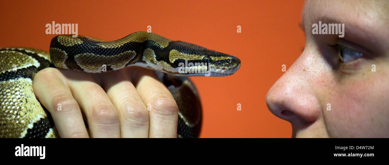 Haik hi-res stock photography and images - Alamy