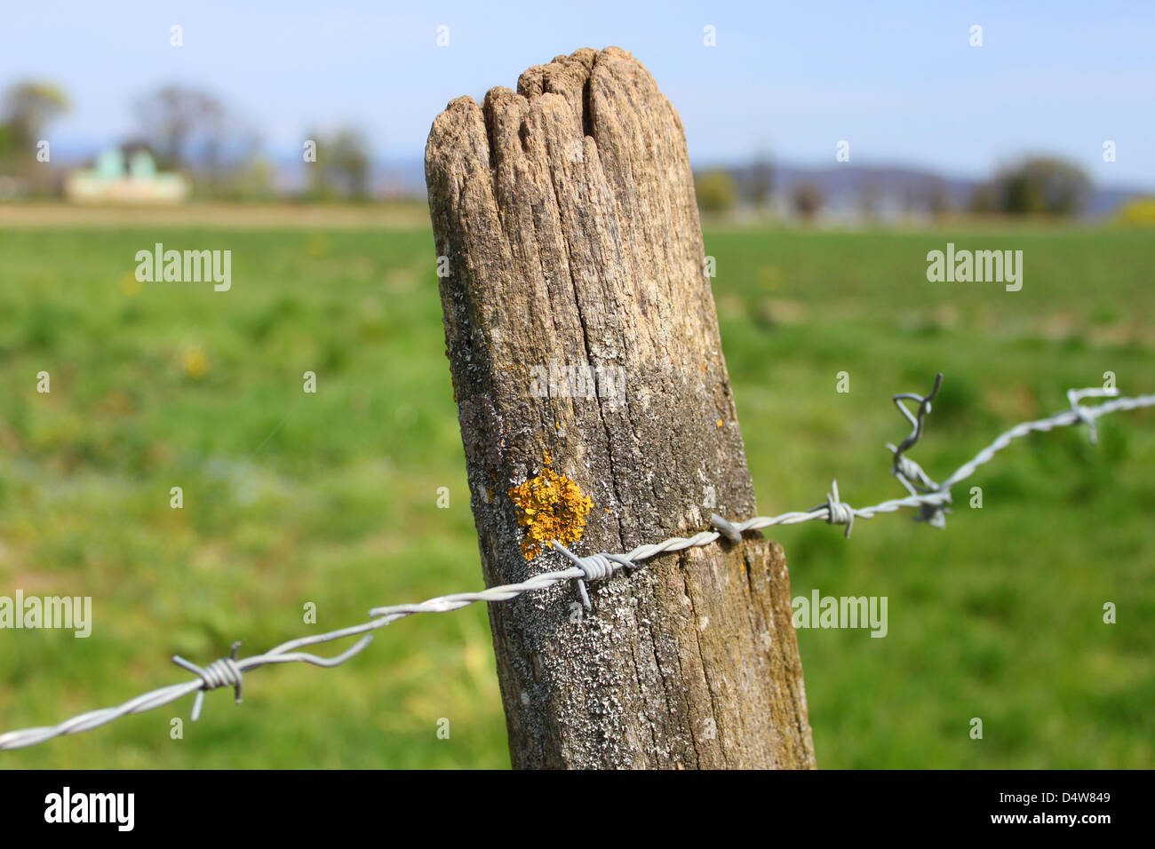A wooden fence post with barbed wire against a green background. Taken on a farm in Switzerland. Stock Photo
