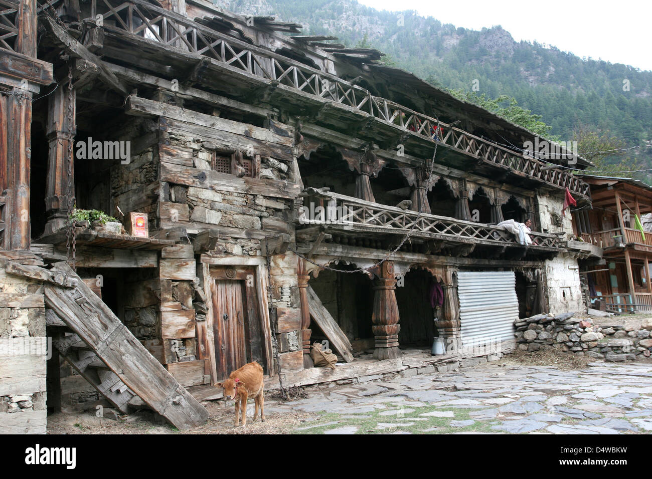 A family home in Mukhba. Stock Photo