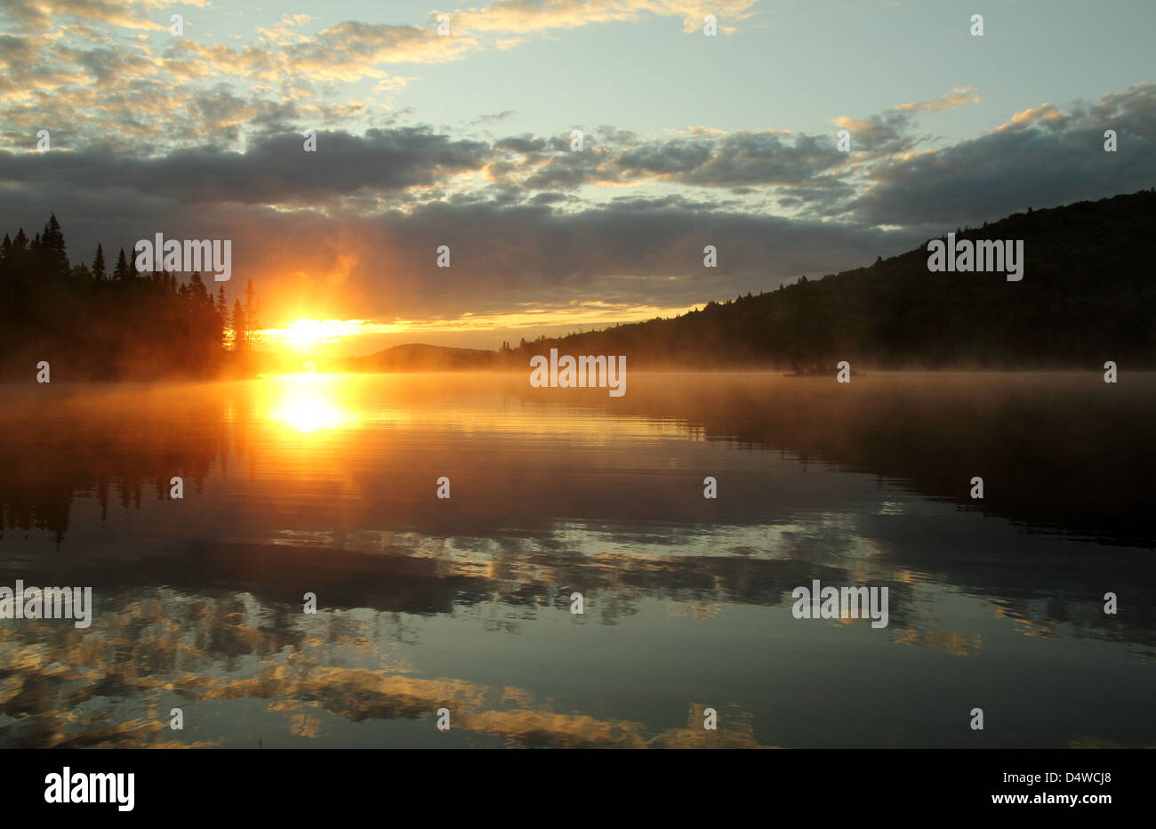 Nature lake forest hi-res stock photography and images - Alamy