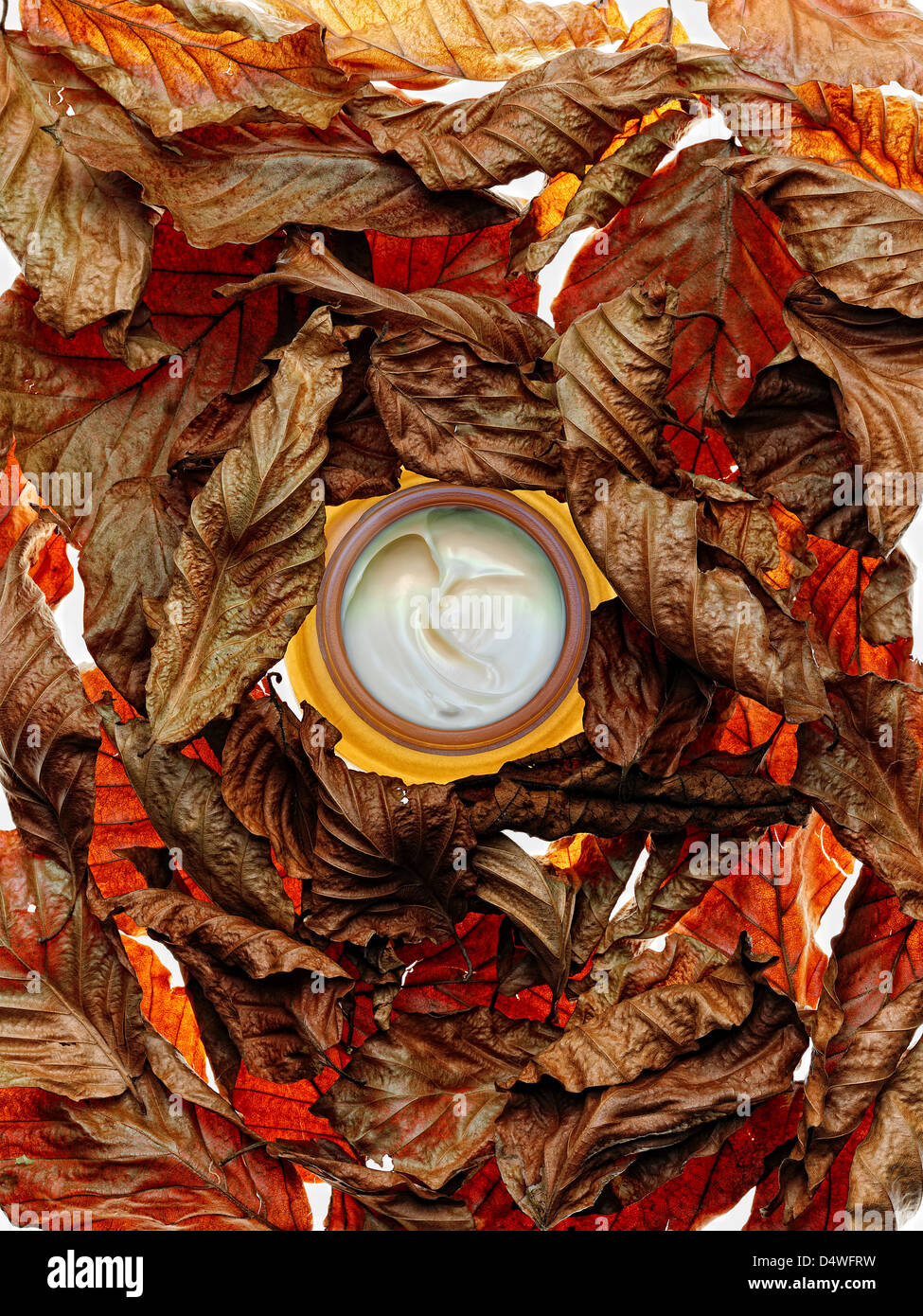 Jar of lotion in dried leaves Stock Photo
