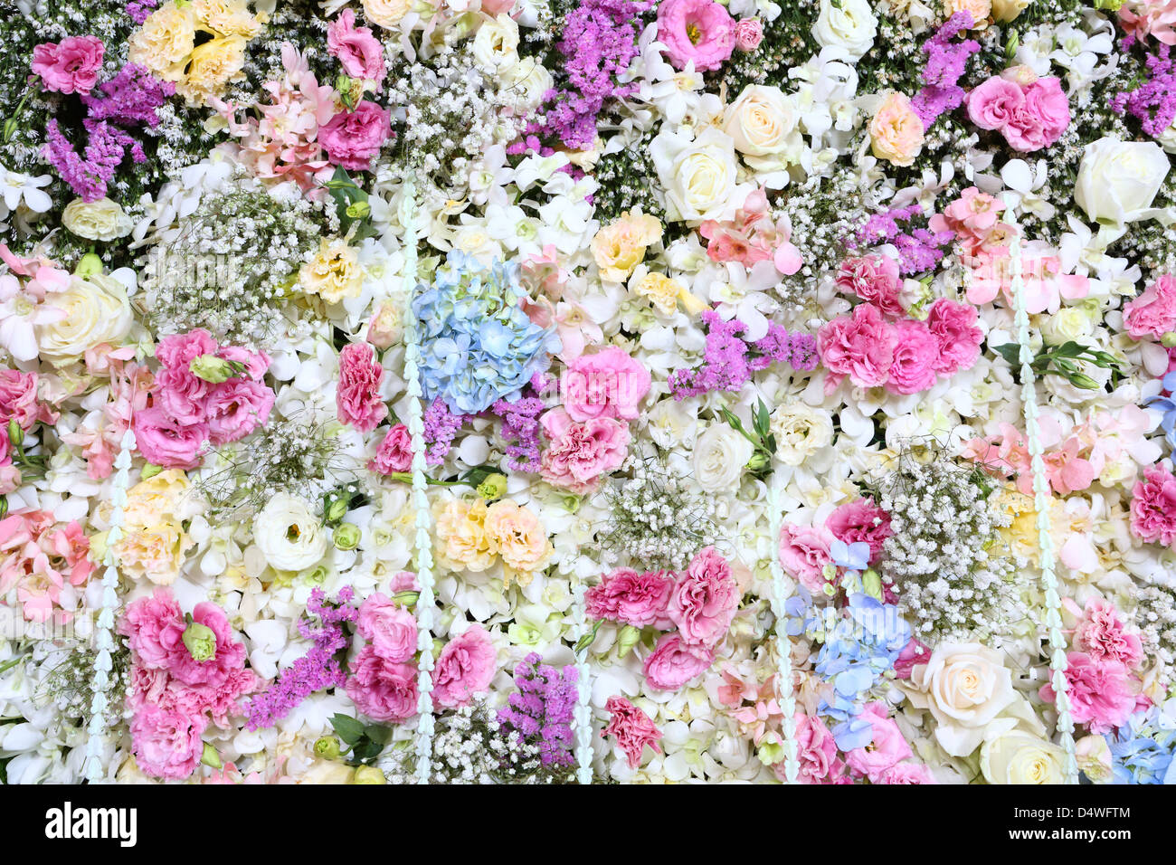 Beautiful real flower background for wedding backdrop Stock Photo - Alamy