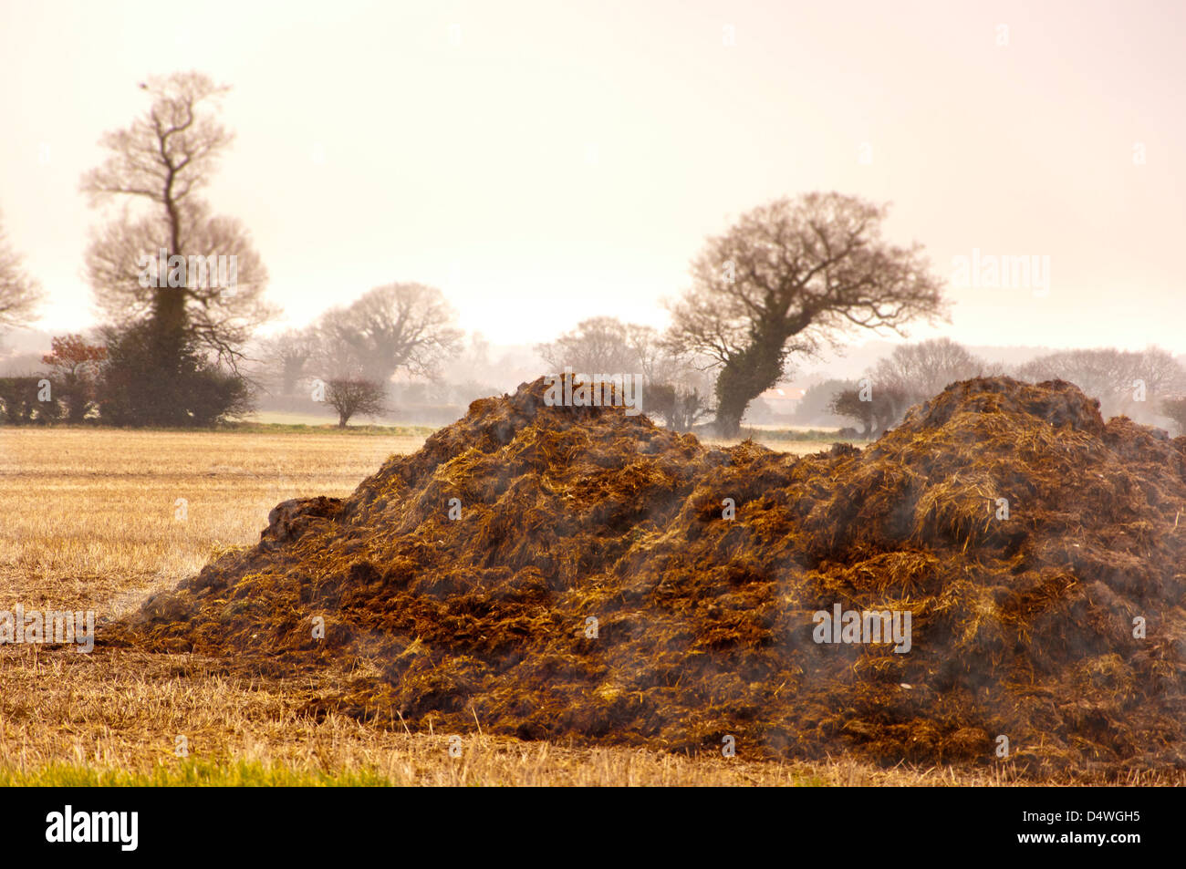 Manure muck heap in field Stock Photo Alamy