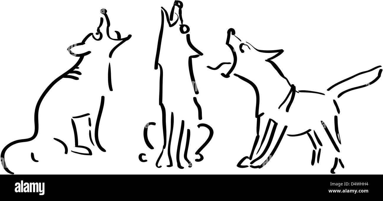 Three howling dogs, black and white illustration Stock Photo