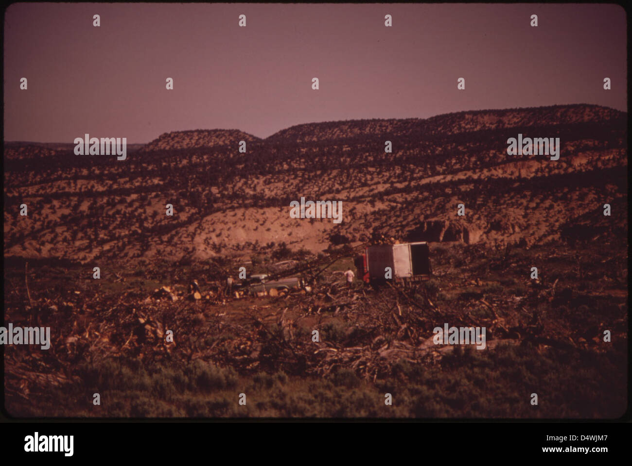 Chaining trees hi-res stock photography and images - Alamy