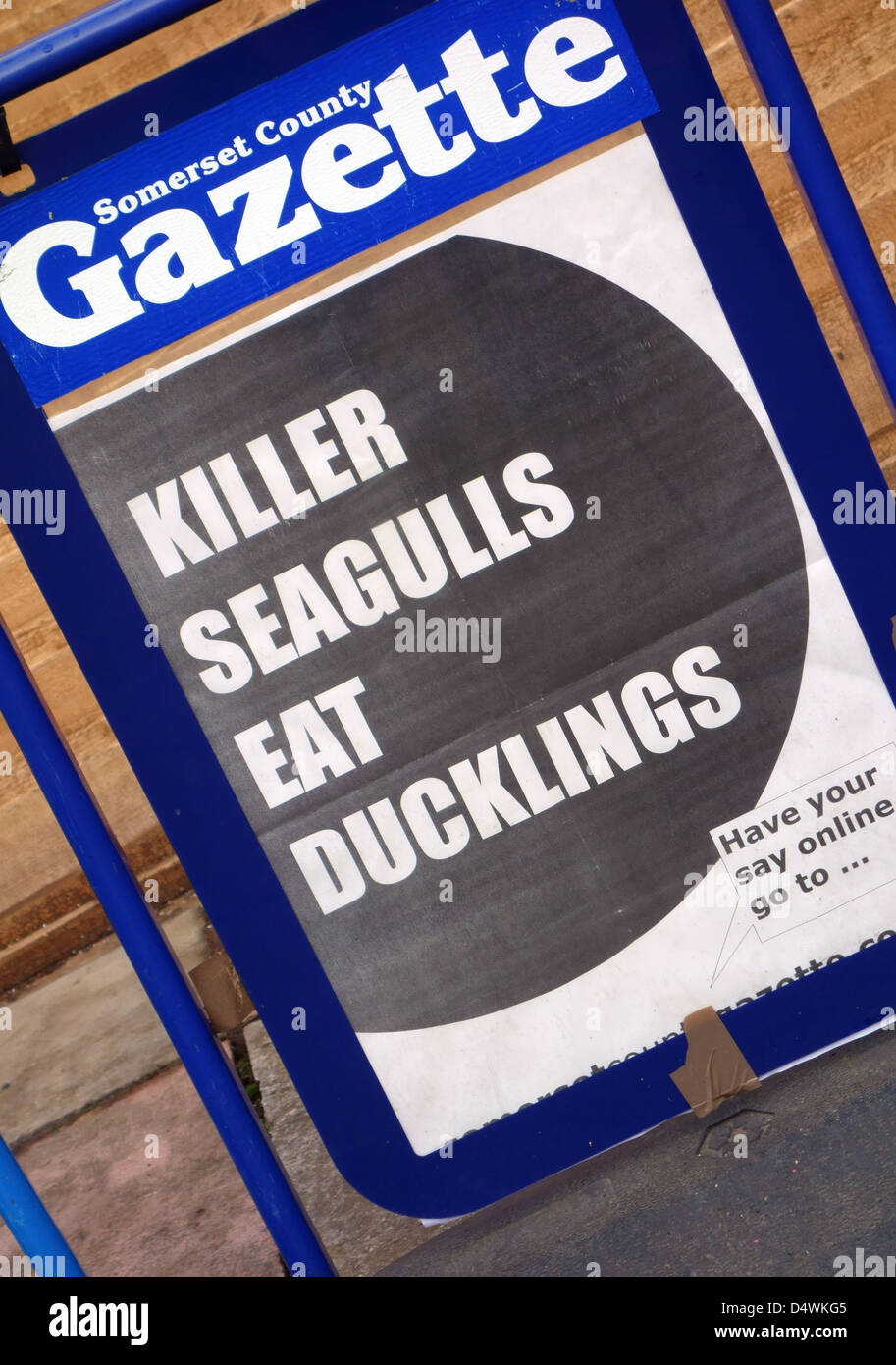 Unusual Headline In Local Newspaper In Somerset England Stock Photo