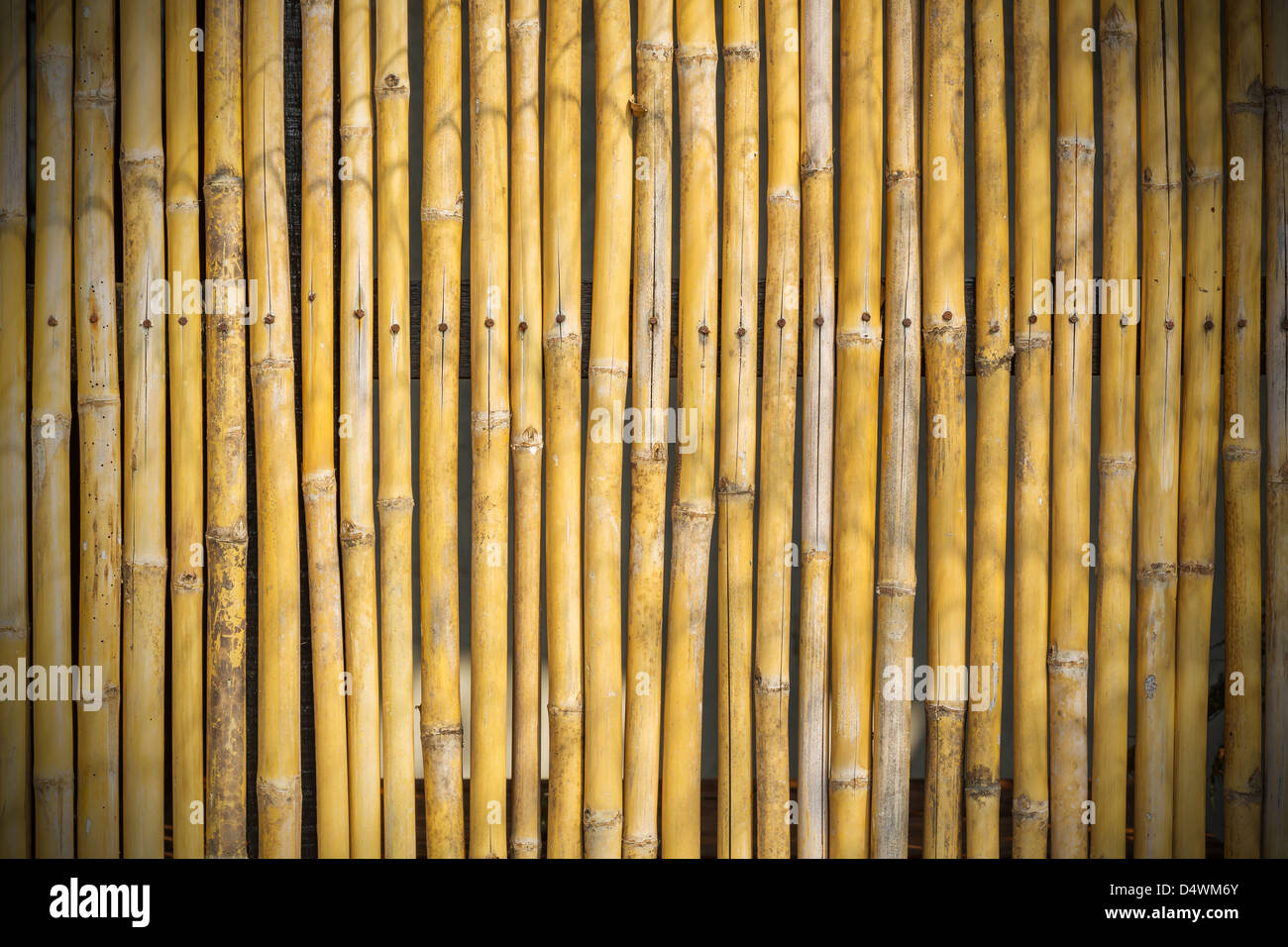 Bamboo fence decoration in Thailand Stock Photo