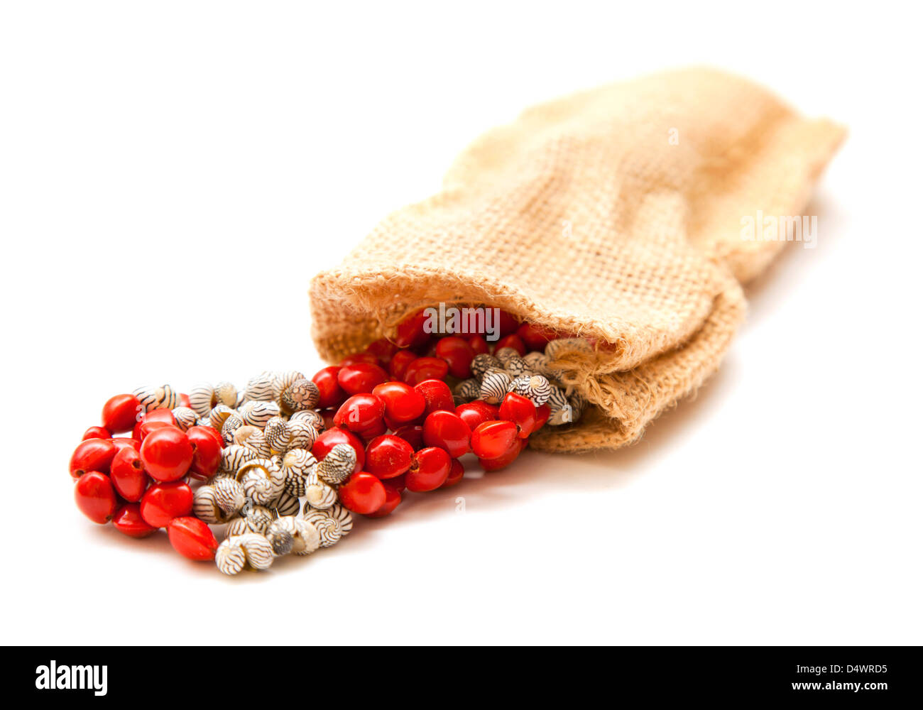 holiday jewelry - simple necklace of tiny black and white seashells and bright red seeds of Rhynchosia pyramidalis , Piule Stock Photo