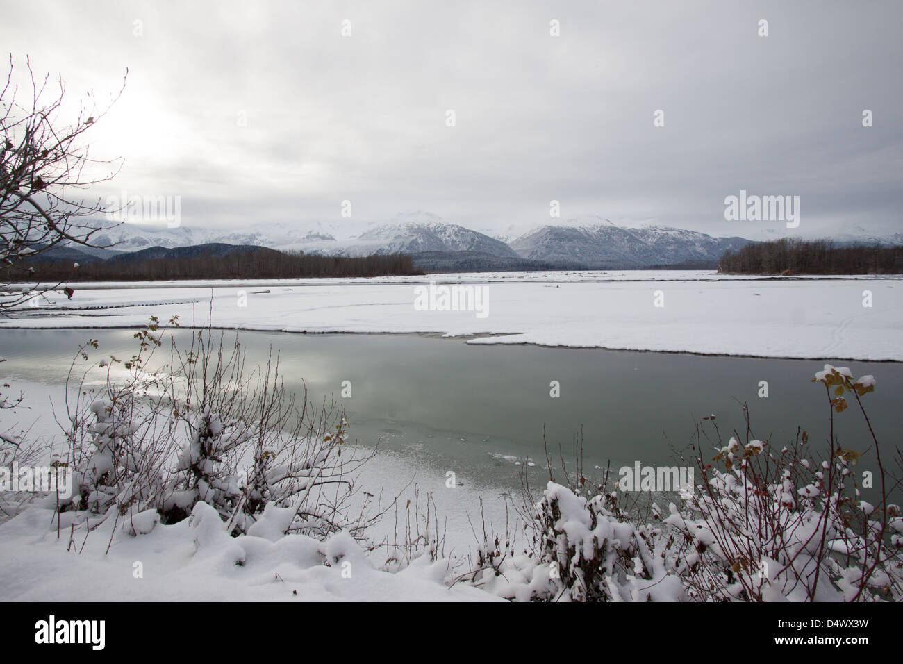 Chilkat river and flats in the Bald eagle reserve Haines  Alaska Stock Photo