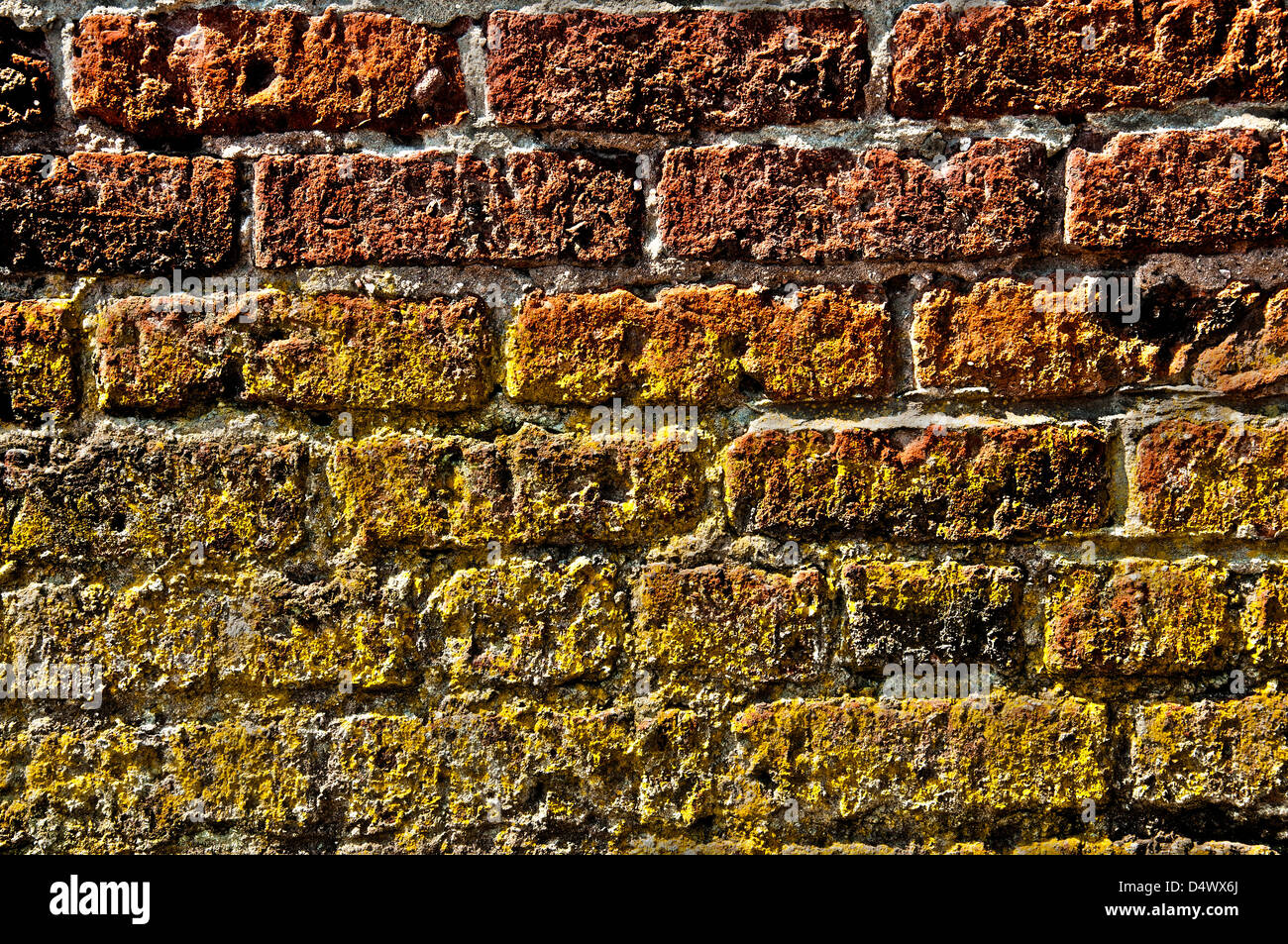 old brick wall, england,uk Stock Photo Alamy