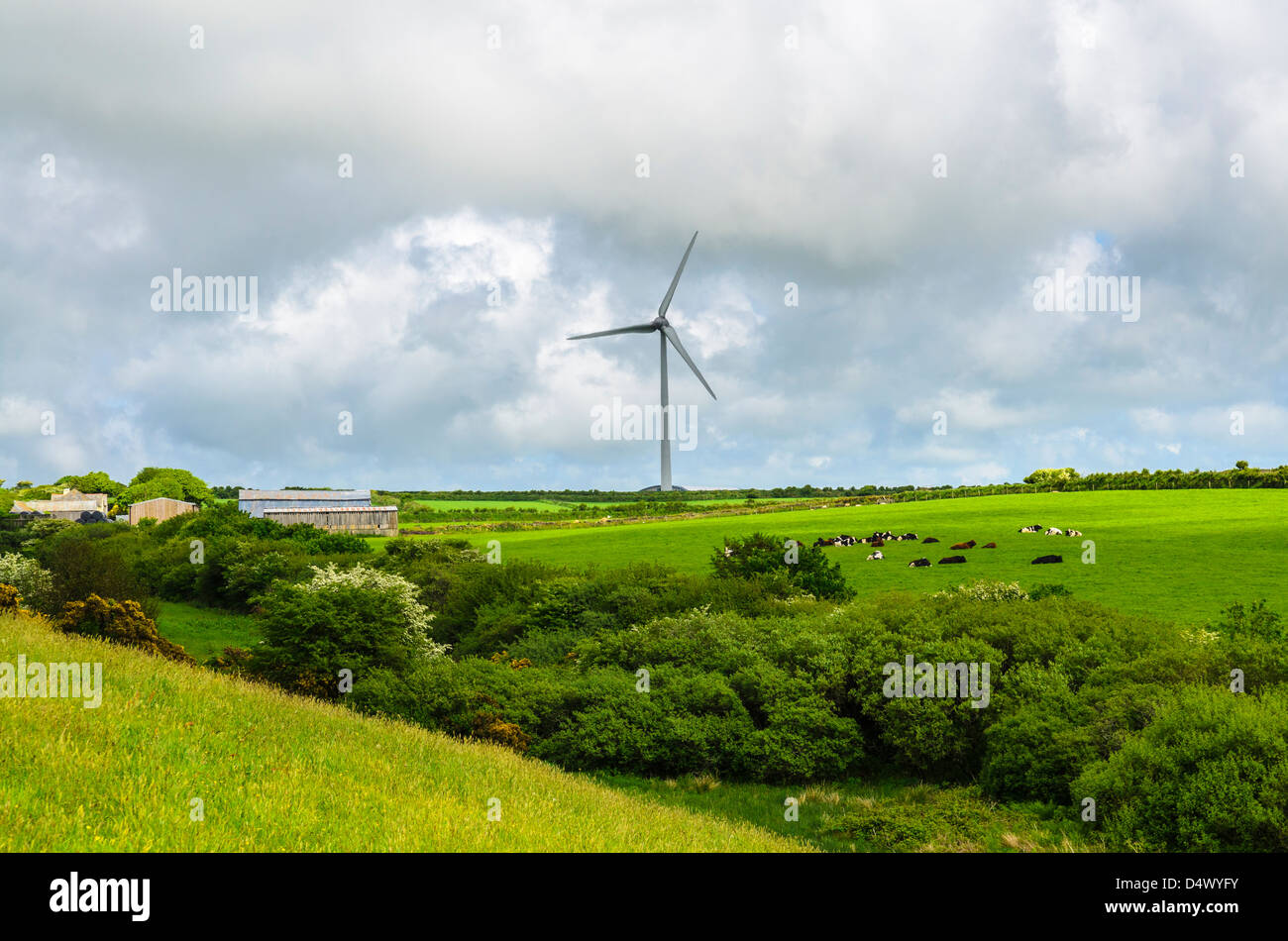 Delabole wind farm surrounded by farmland, Cornwall, England. Stock Photo