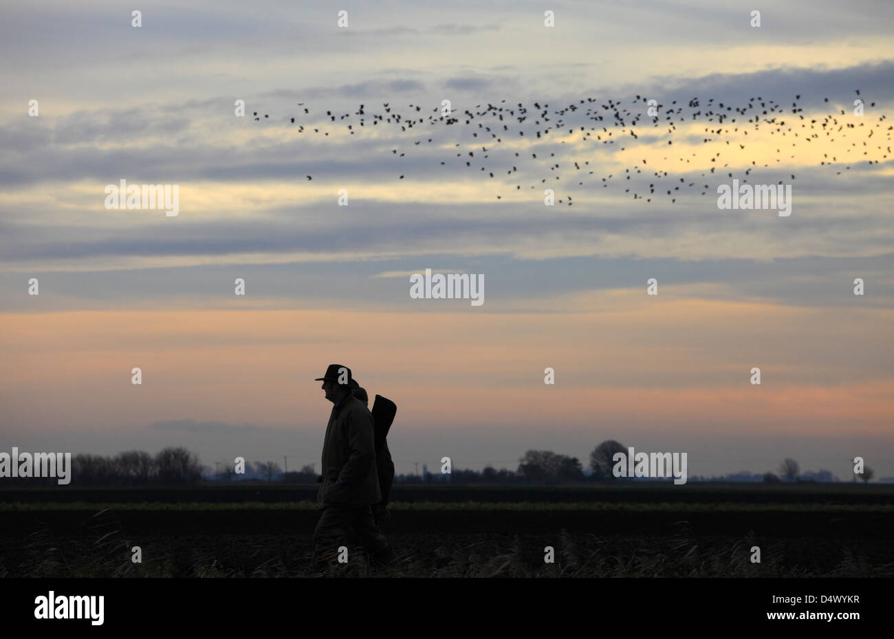 Guns returning home at the end of a days pheasant shooting in Norfolk, England. Stock Photo