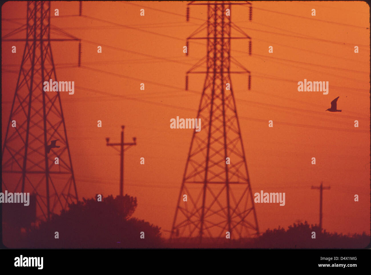 Sunset behind Power Lines in Galveston Bay Industrial Area, 05/1972 Stock Photo
