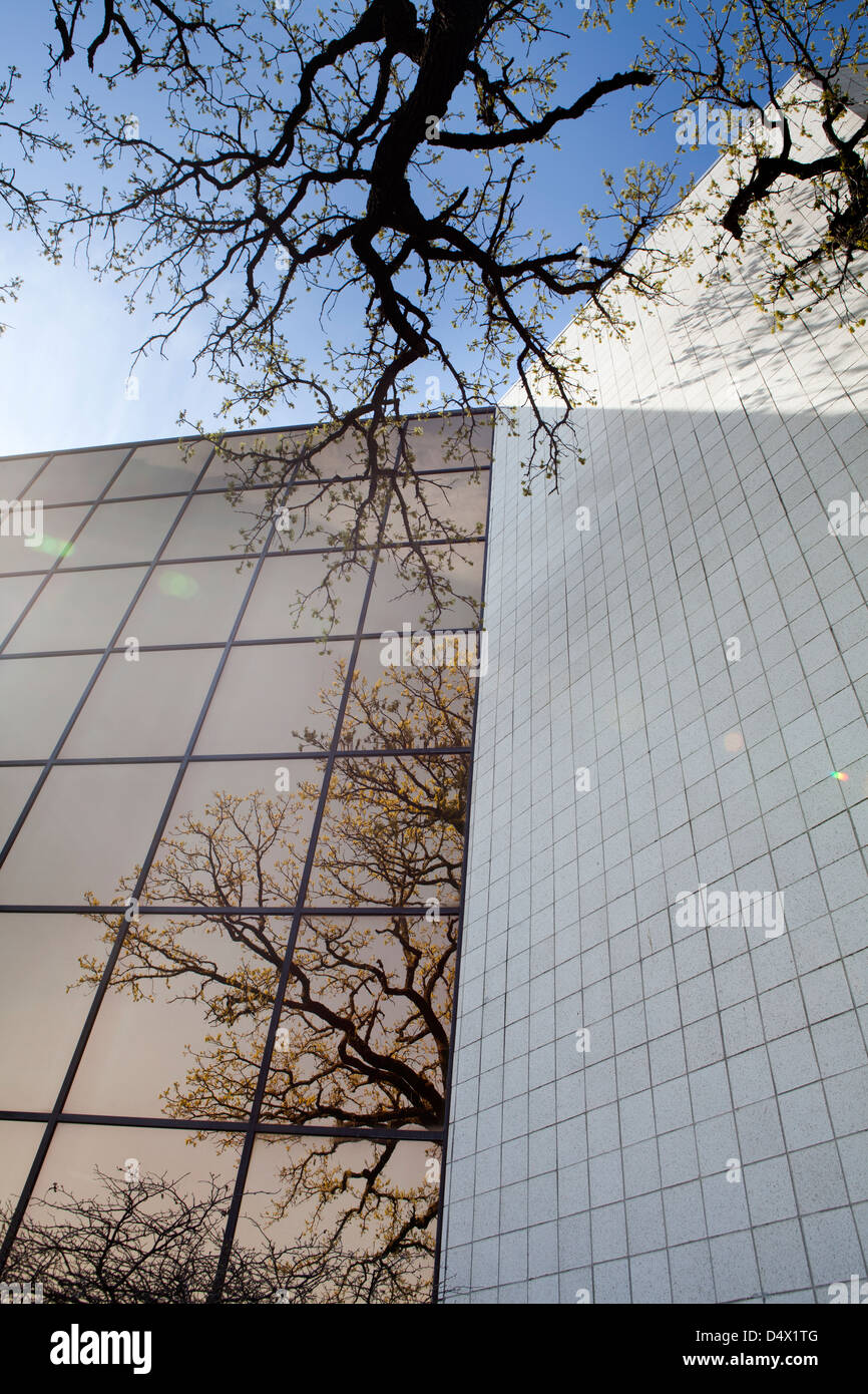 Tree reflection window hi-res stock photography and images - Alamy