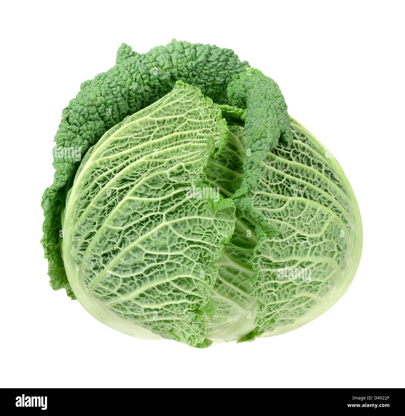Fresh savoy cabbage head Stock Photo Alamy