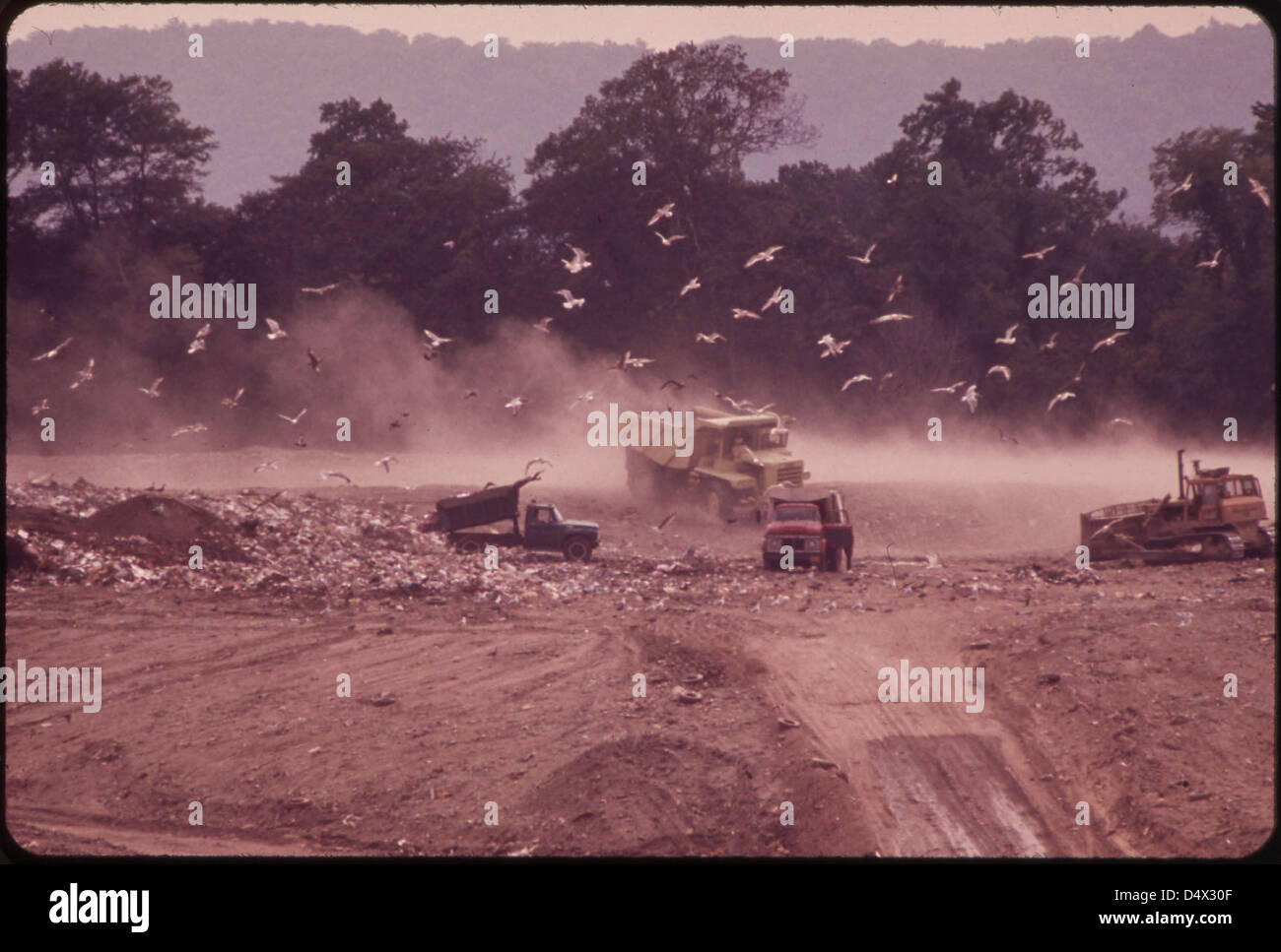 Dump Trucks, Earthmovers and Seagulls at the Croton Landfill Operation