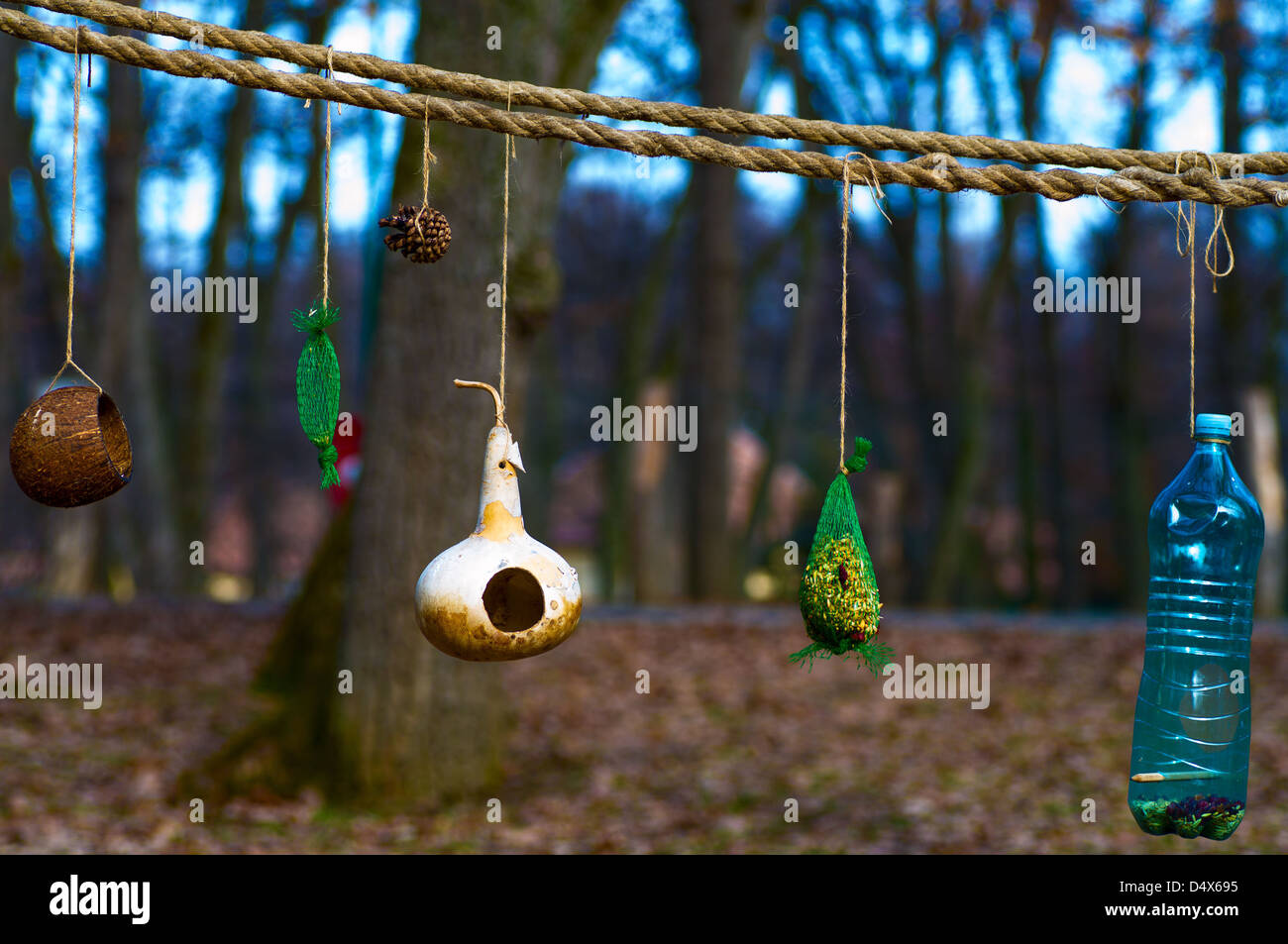 Bird Feeders From Recycled Materials Hanging In The Forest Stock