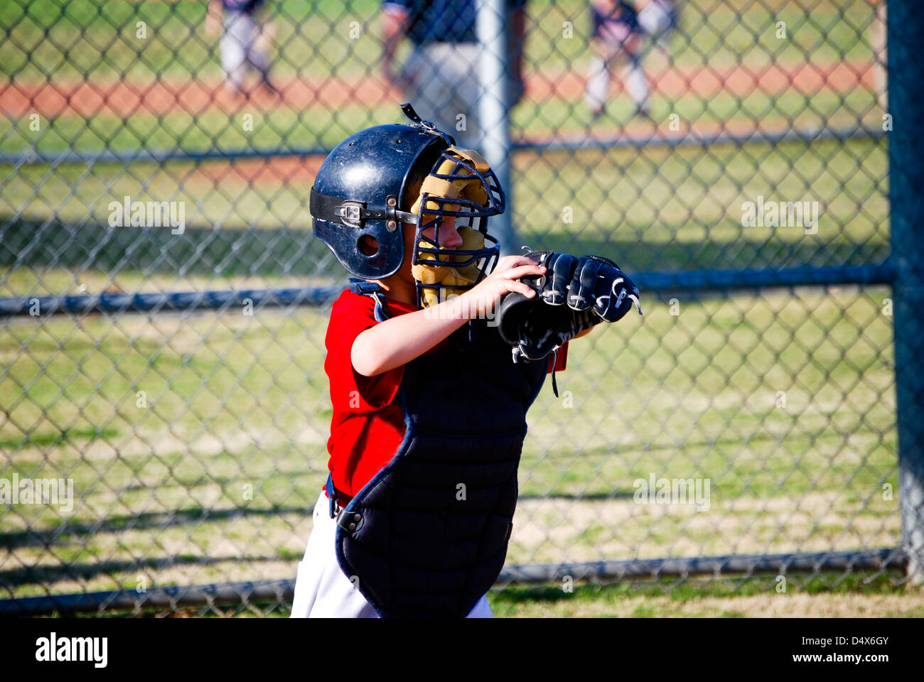 Little league baseball catcher. Stock Photo
