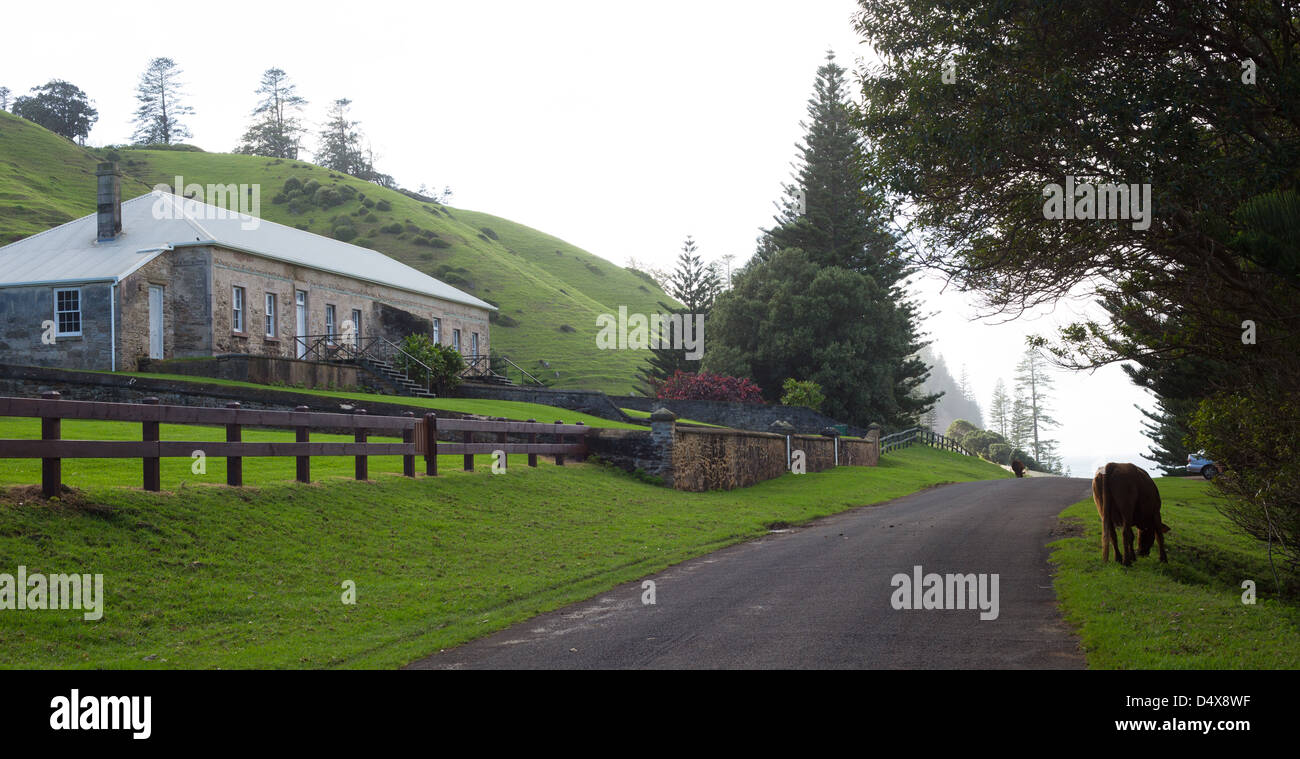 Heritage buildings on Quality Row, Norfolk Island, Australia Stock Photo