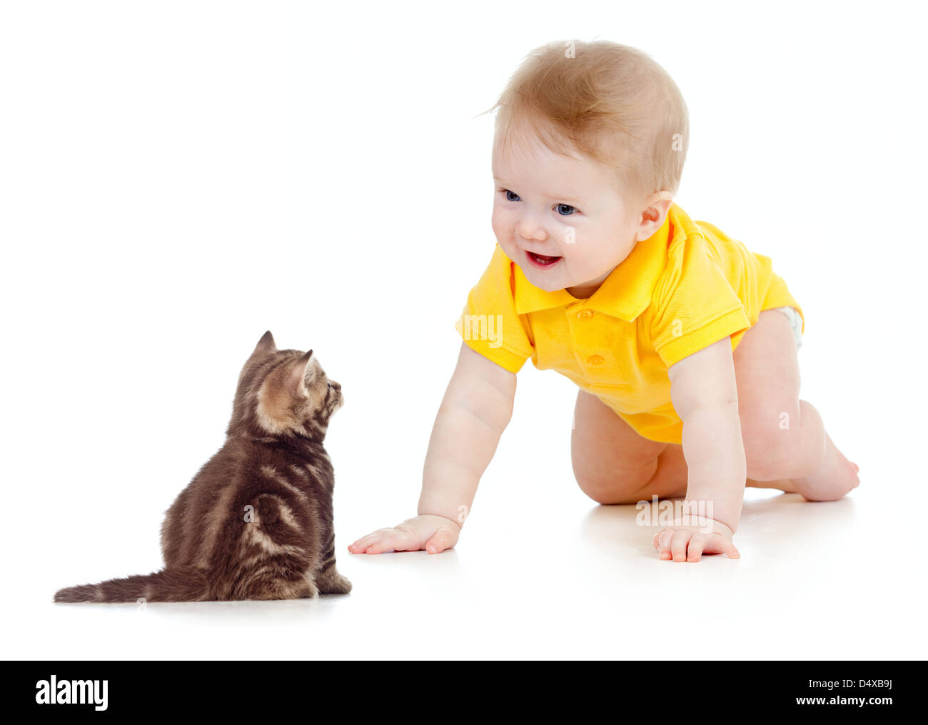 funny baby crawling to cat Stock Photo Alamy