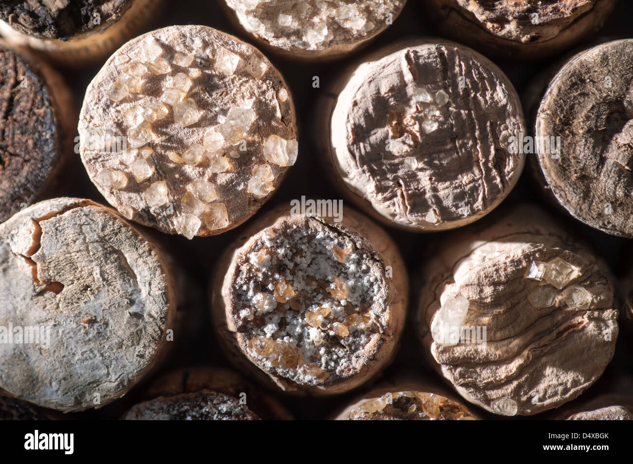 Tartaric acid crystal hires stock photography and images Alamy